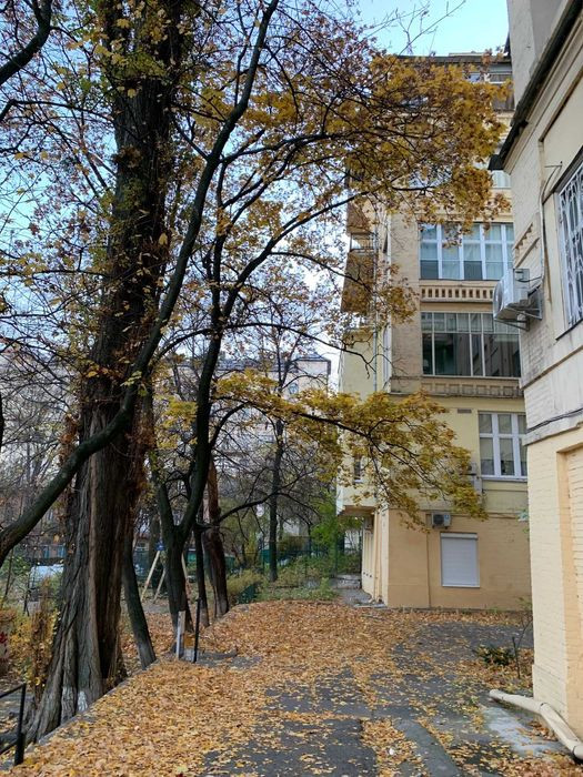 Продажа 2к квартиры в Киеве,  Пушкинская ул., 21 10