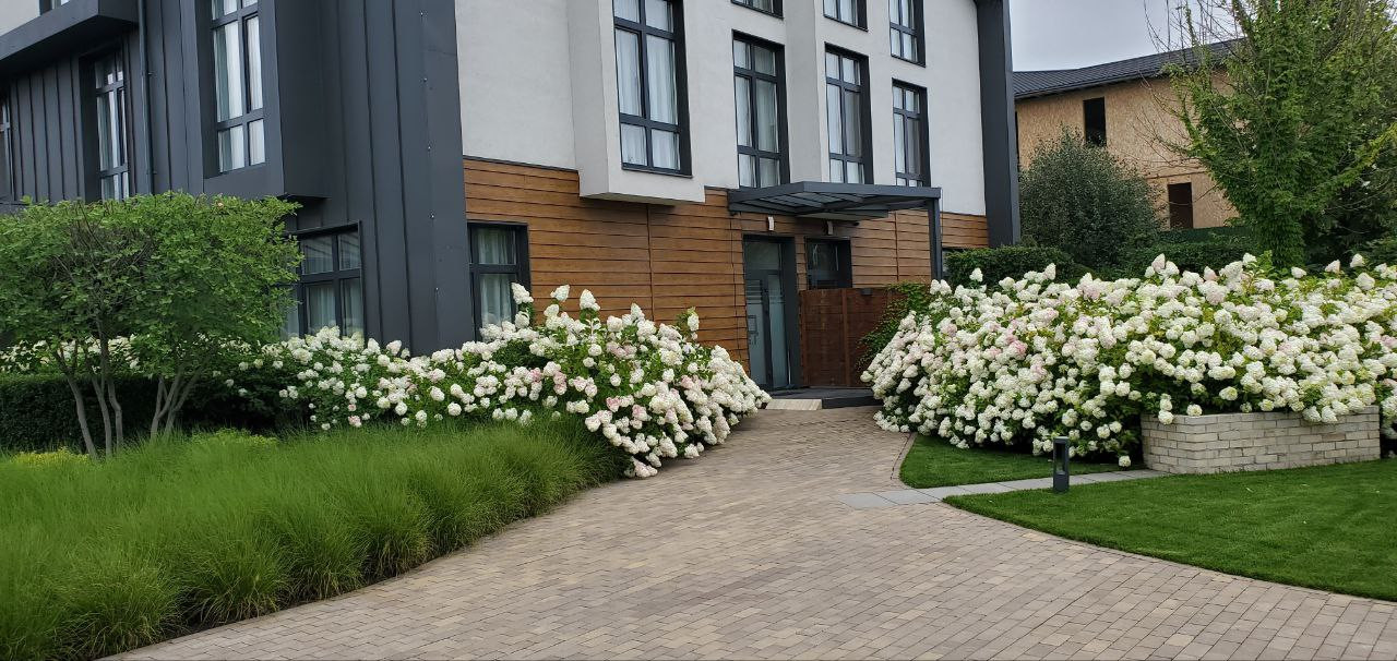 Продажа 5к дома в Киеве,  Лютневая ул. (Чапаевка), 58 1
