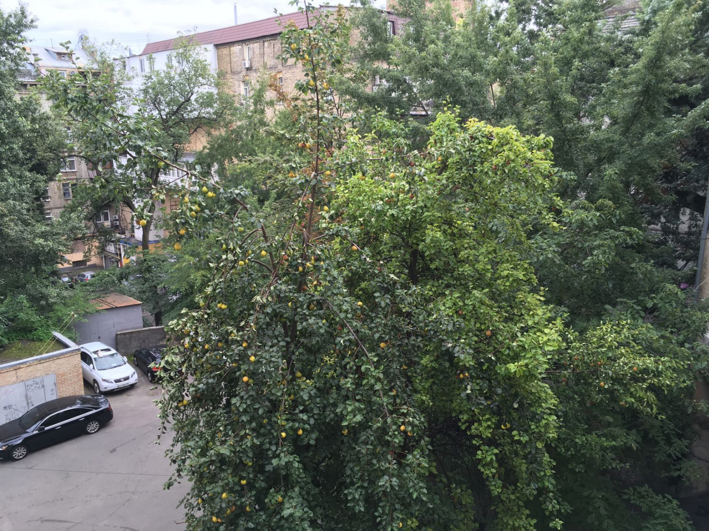 Продажа 3к квартиры в Киеве,  Пушкинская ул., 39 16