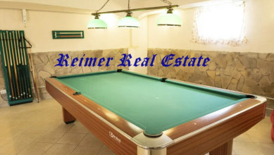 Лесники sub 9