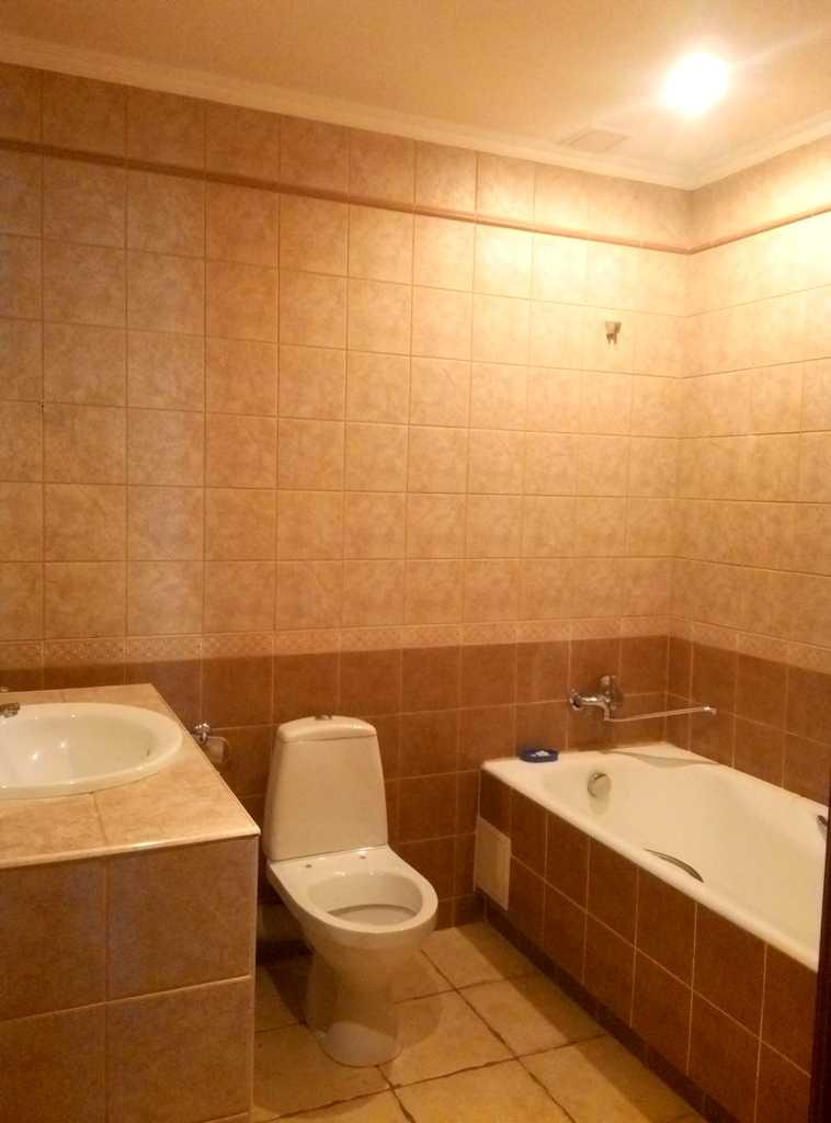 Аренда 6к дома в Киеве,  Борецкого Иова пер. (Панфиловцев пер.), 16 2